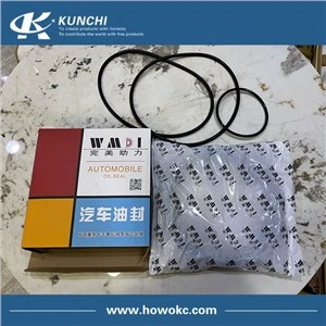 Sinotruk Howo WG9981340113/4 Oil Seal 190 x 220 x 30 WMDI Perfet Power